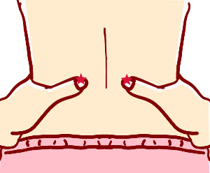 【全身の不調を整えるツボ「腎兪（じんゆ）」】