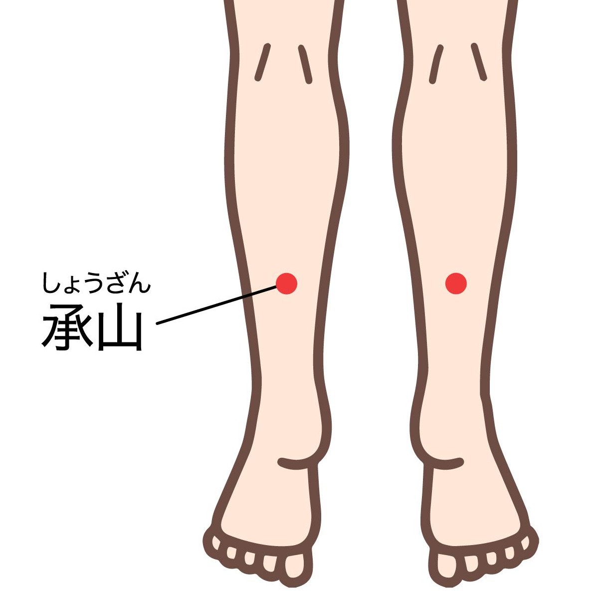 【足や腰痛の症状に効くツボ『承山（しょうざん）』】