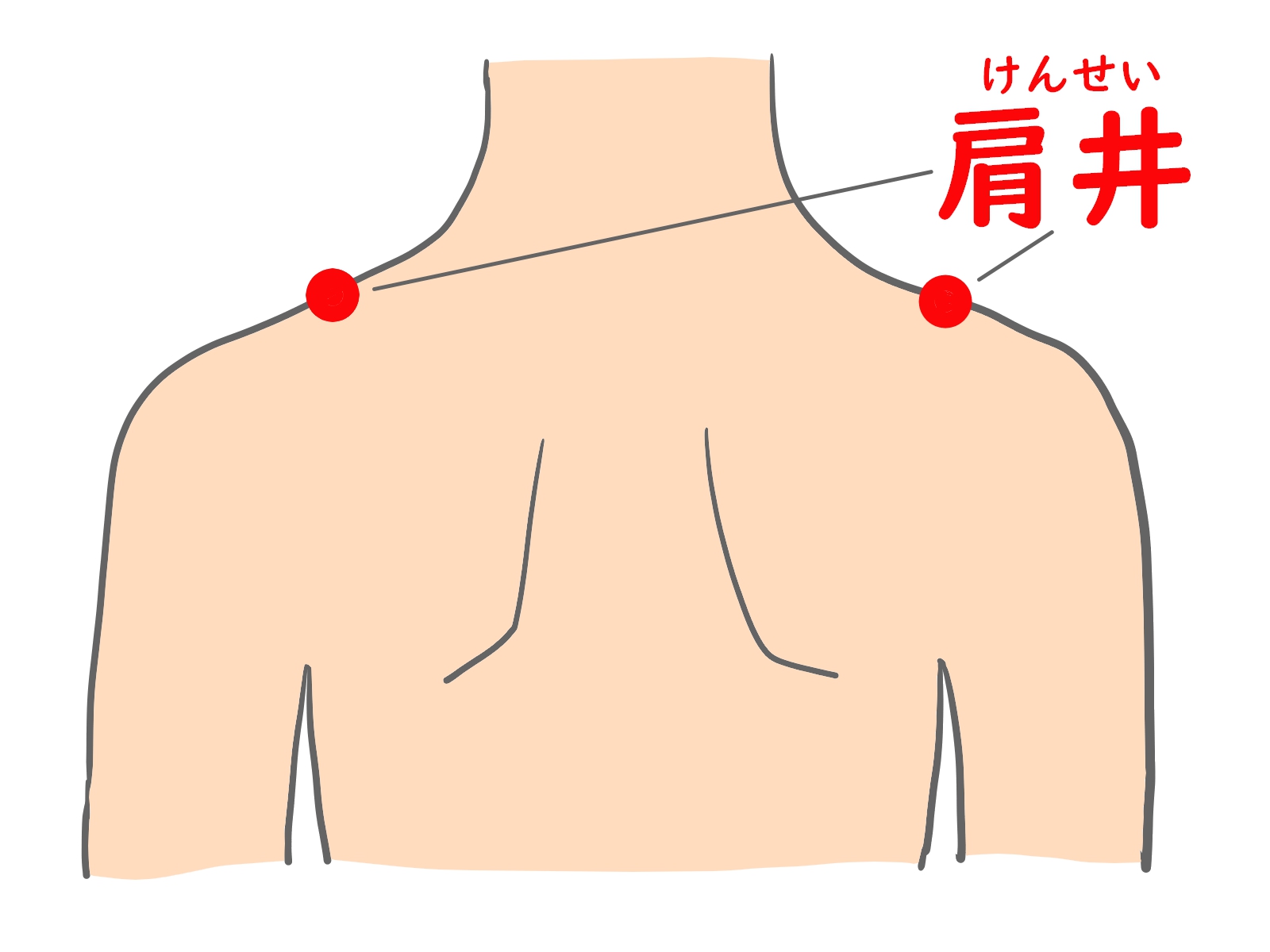 肩凝り・頭痛だけじゃない！血行改善に効くツボ『肩井（けんせい』